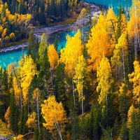 Полина Безрукова | 