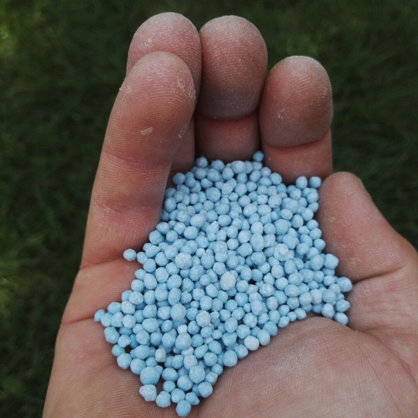 Фосфорные удобрения фото. Сырье для удобрений 6 букв сканворд. Сырье для производства фосфорных удобрений. Сырье для производства калийных удобрений. Single superphosphate soil fertilizer.