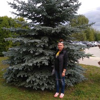 Лена Иванова