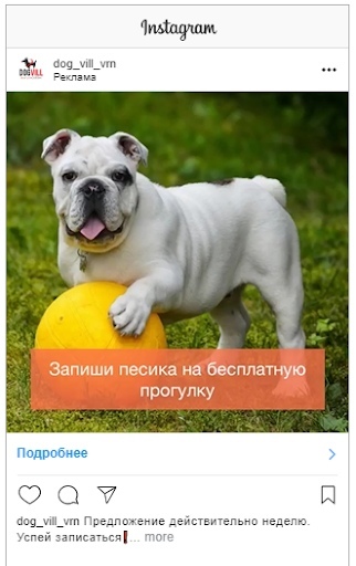 Кейс: продвижение стартапа по выгулу собак, изображение №19