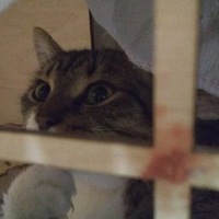 Мария Лепихина | 