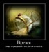 Игорь Петракович фотография #28 (источник - https://vk.com/id61772108)