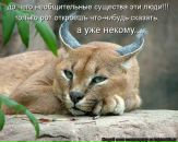 Фотография Татьяна Гейчук