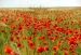 Ирина Пранова фотография #3 (источник - https://vk.com/id132403476)