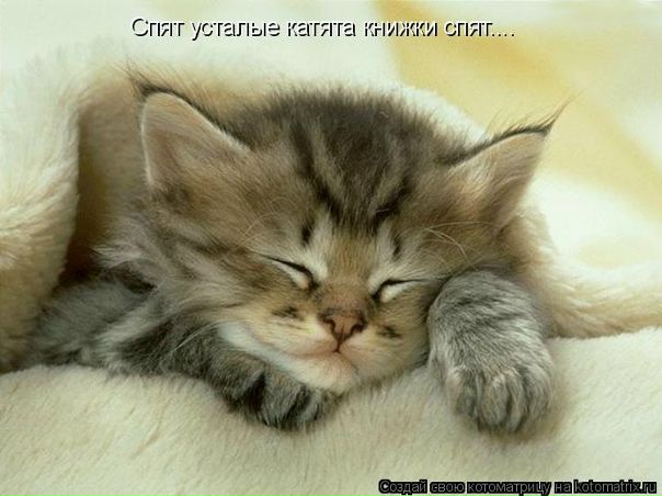 №8, Кристина Ясинецка, 27 лет, Киев №8, Кристина Ясинецка, 27 лет, Киев