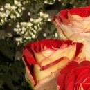 №127, Оксана Юрьевна №127, Оксана Юрьевна