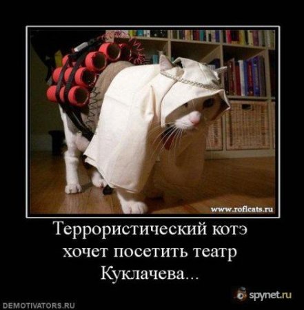 №178, Дмитрий Поснов, Оленегорск №178, Дмитрий Поснов, Оленегорск