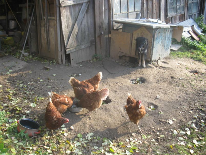 №155, Мария Сержантова, 39 лет, Москва №155, Мария Сержантова, 39 лет, Москва