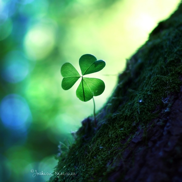 №169, Юлия Головко, Киев №169, Юлия Головко, Киев