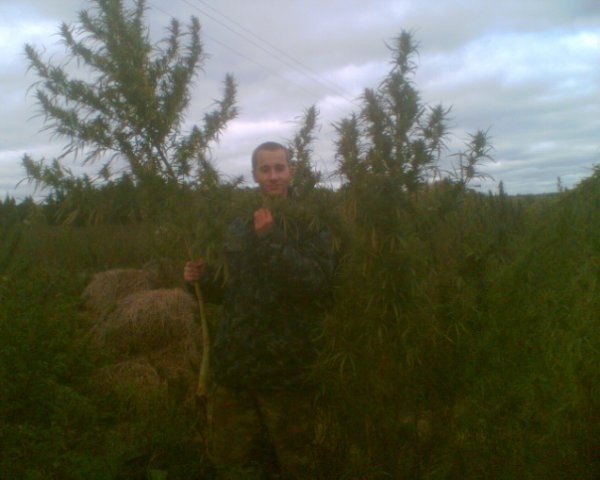 №11, Даниил Мальцев №11, Даниил Мальцев