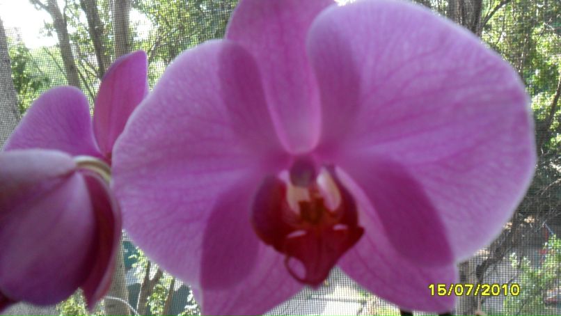 Ирина Калинина | Одесса