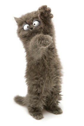 №2, Ирина Лушникова №2, Ирина Лушникова