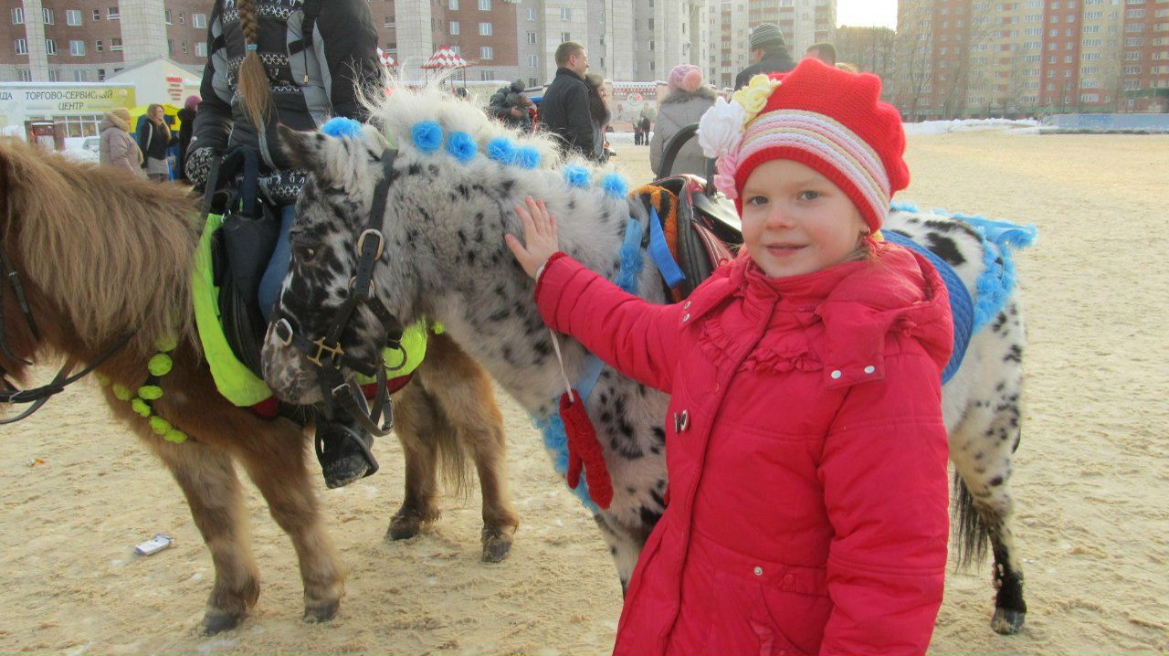 Александр Беляев | Череповец