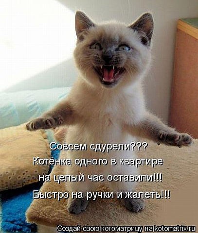 Даша Бадикова | Александрия