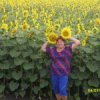 Аватар: Марина Николаева