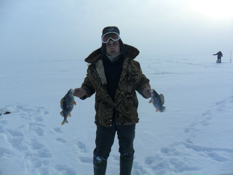 Дмитрий Васин | Зеленоград