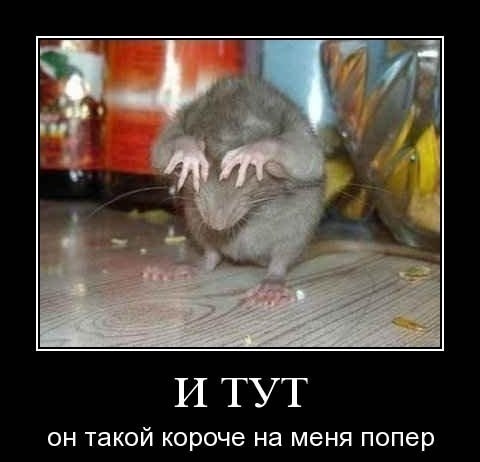 Артем Планида | Мариуполь