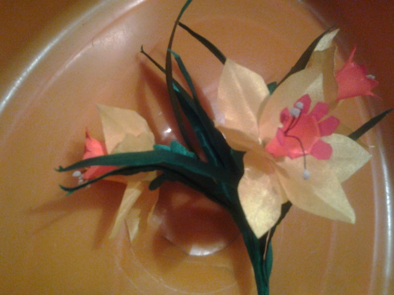 Анна Мальцева | Ахтубинск