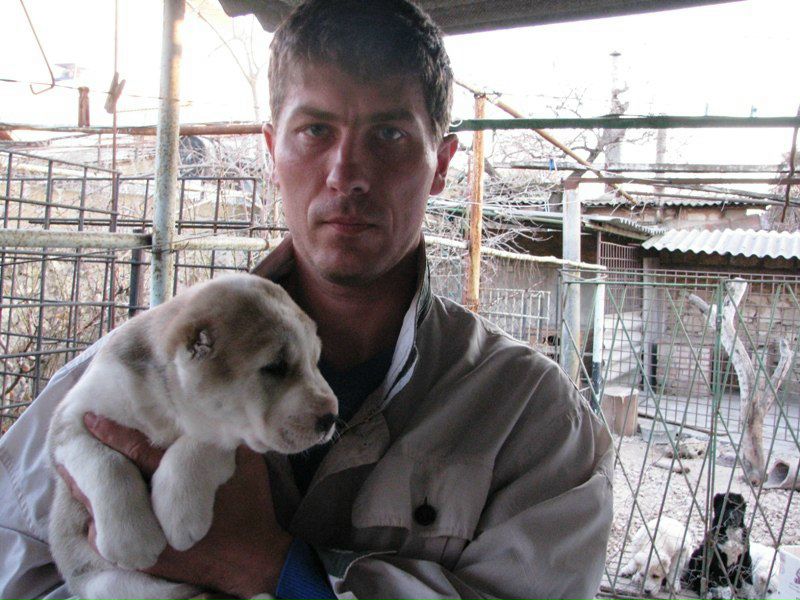 №17, Руслан Гордеев, Львов №17, Руслан Гордеев, Львов