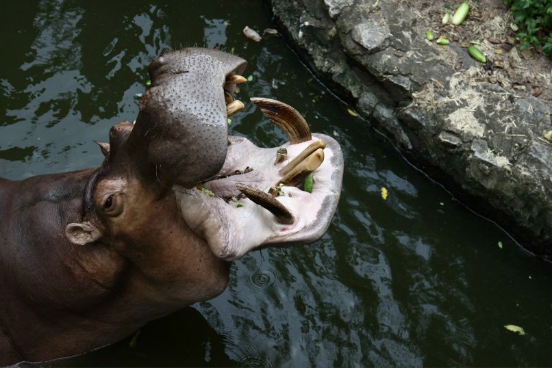 Марина Коробышева | Москва