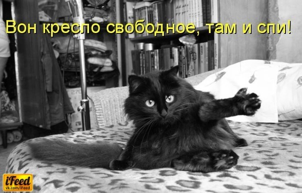 №27, Алена Панченко, 36 лет, Москва №27, Алена Панченко, 36 лет, Москва