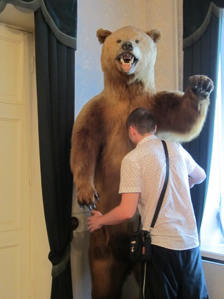 Фото профиля