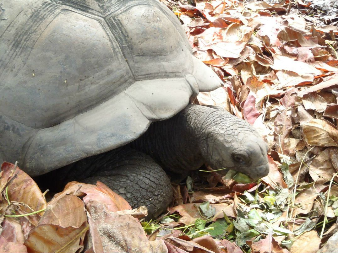 Евгения Павлова | Москва