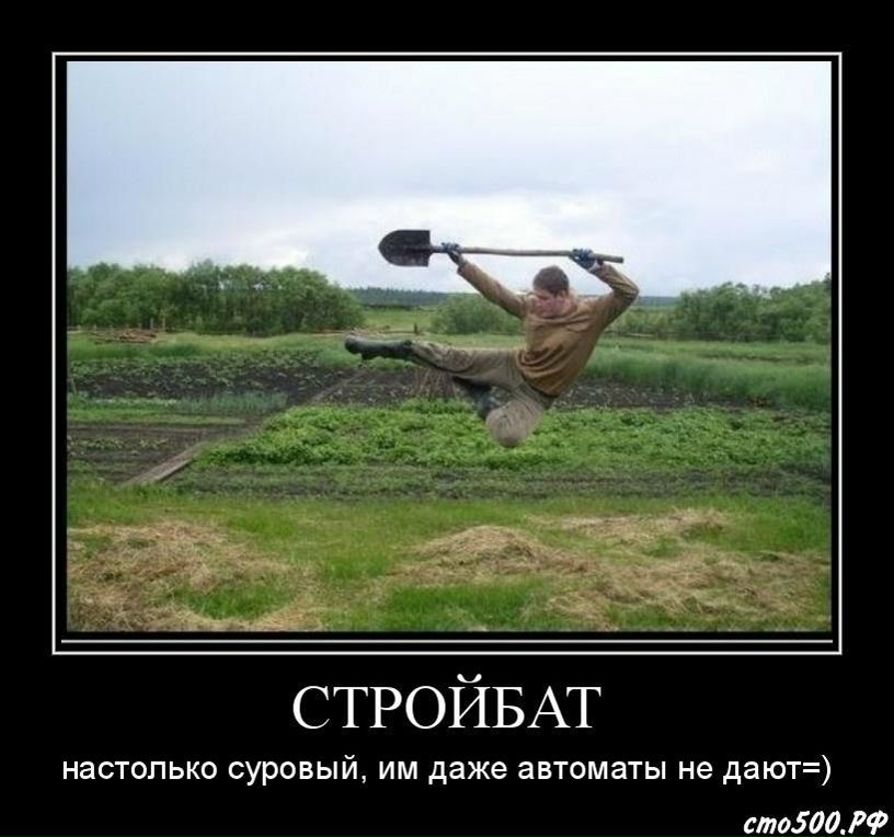 Давид Богомилов | Черкассы