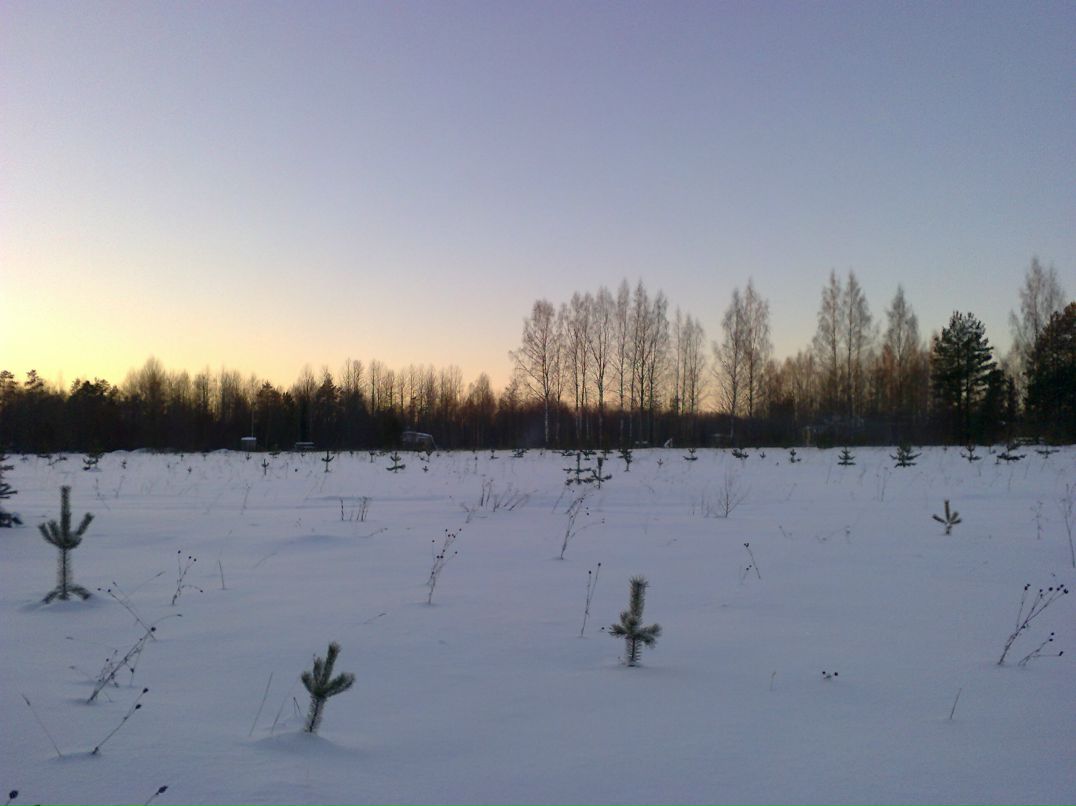 Антон Меркульев <fenix_4> | Пикалево