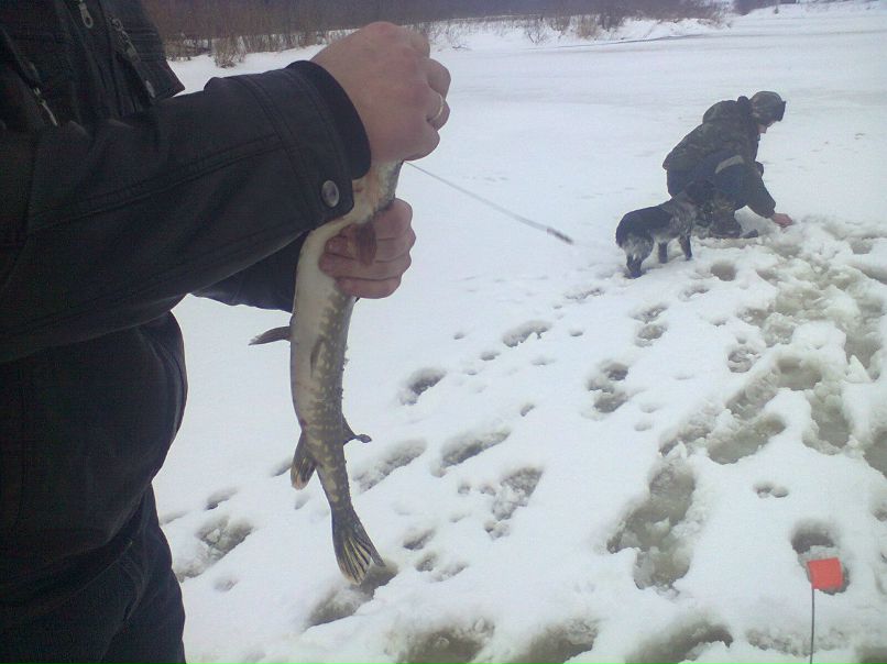 Сергей Зажигин Саныч | 