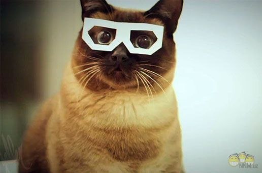 Расул Магомедов | Майкоп