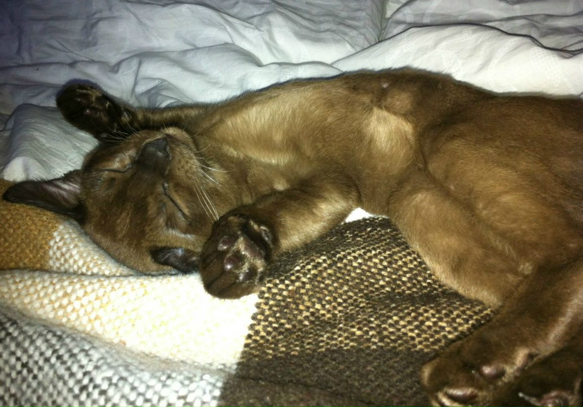 Екатерина Беляева | Москва