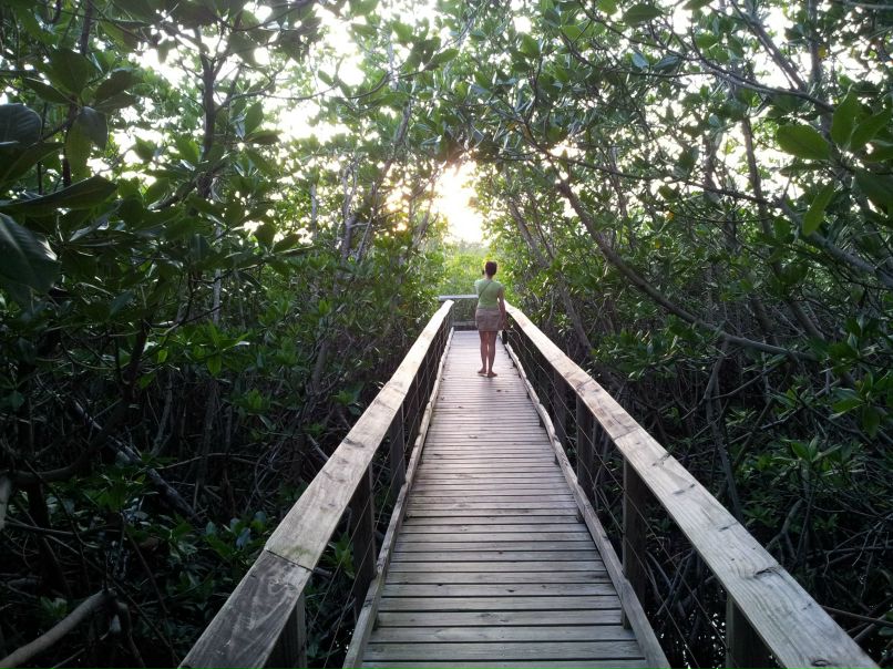 Сергей Хоренко (Zhorik, Malish) | New York City