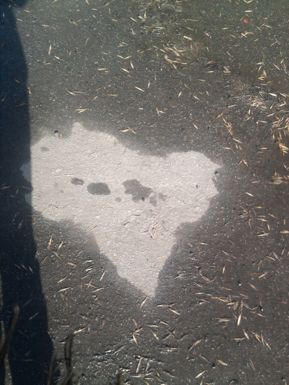 Виктория Бровко | Запорожье