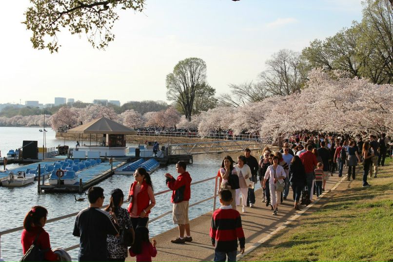 Валентина Кингсолвер | Albuquerque