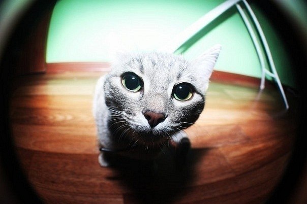 Никита Иванов haCKPLAY#YEAAAAAAH | Королёв