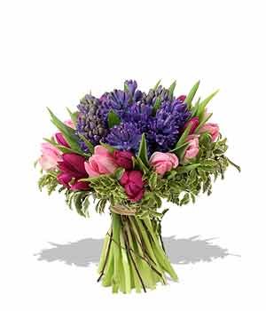 Клим Летов Rastaone | Москва