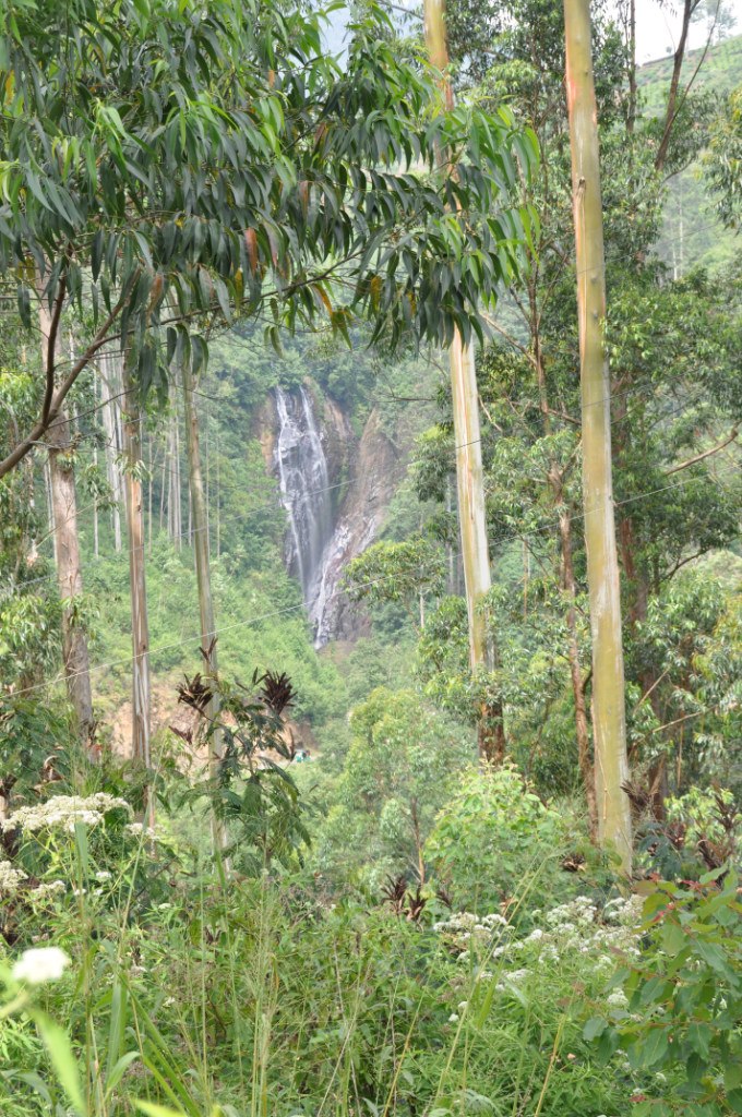 Владимир Уткин | Санкт-Петербург
