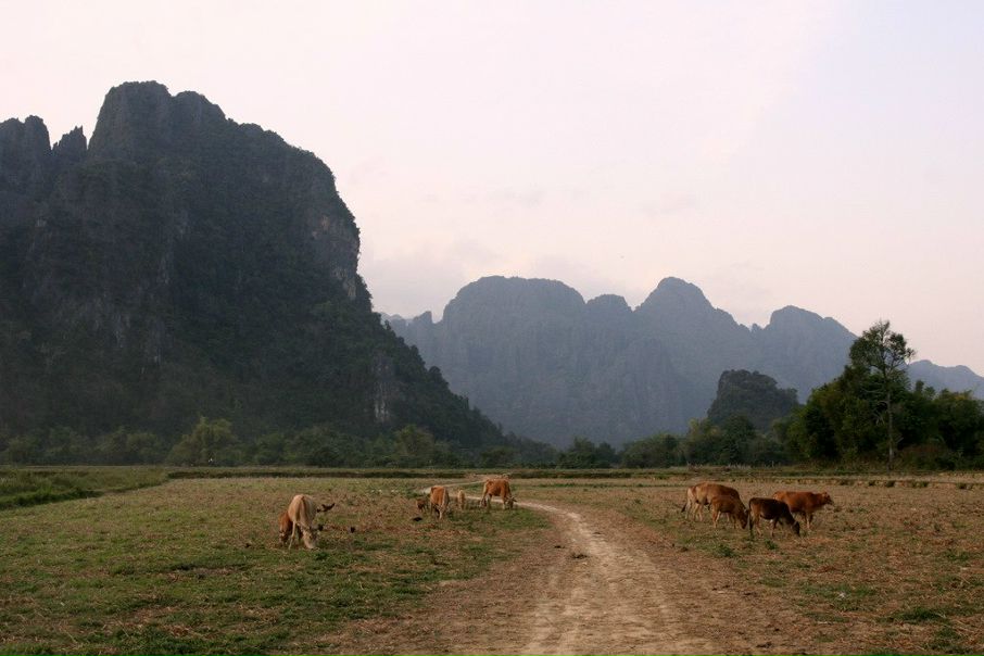 №47, Александр , 41 год, Ош, Кыргызстан №47, Александр , 41 год, Ош, Кыргызстан