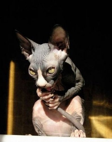 Полина Гончаренко | Сургут