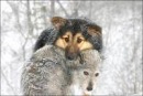 Фотография Твейна Марка