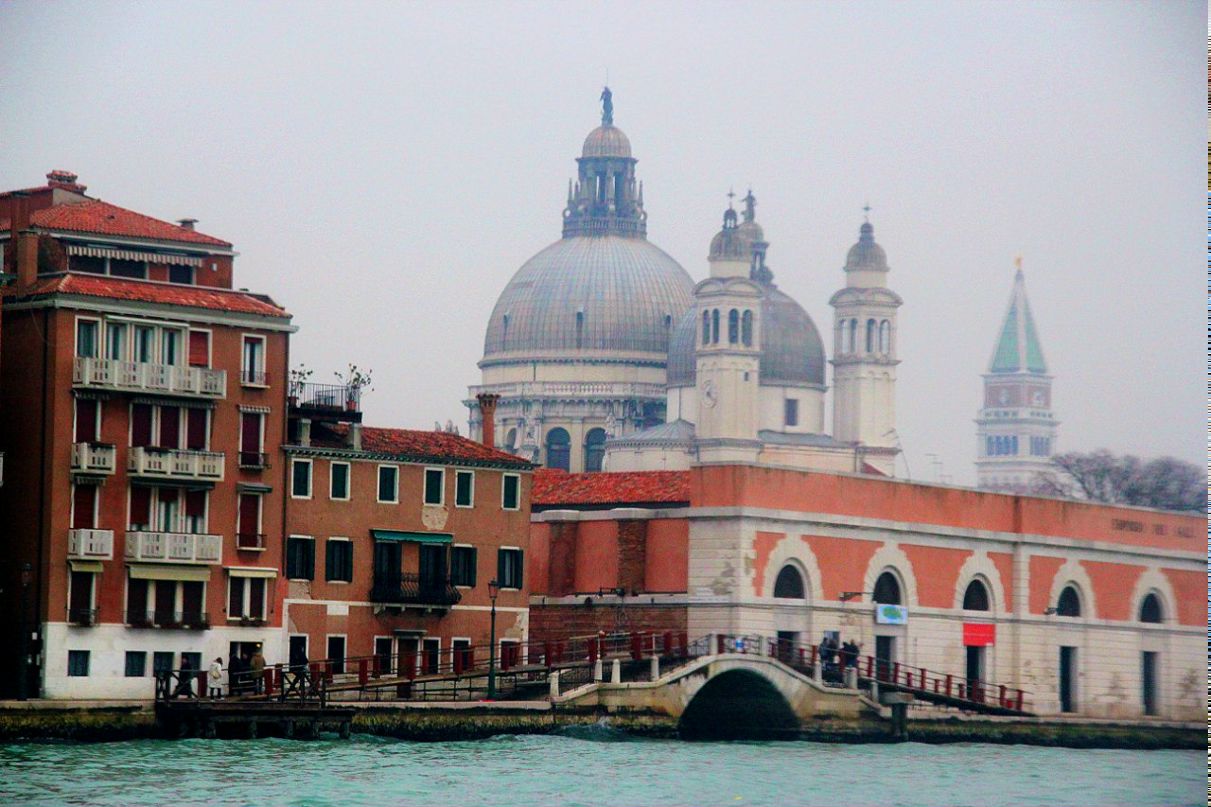 Нина Шлома | Frankfurt am Main