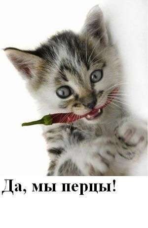 Ольга Коренская | Одесса