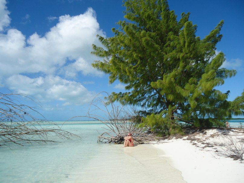 Анастасия Токарева | Красноярск