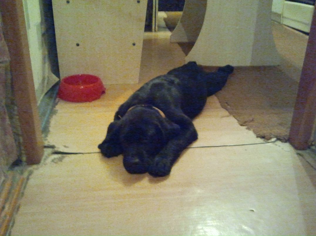 Владимир Хлопицын | Рязань