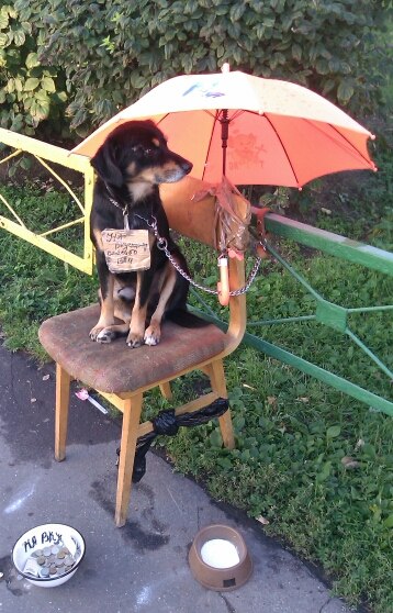 Михаил Дёмин | Москва