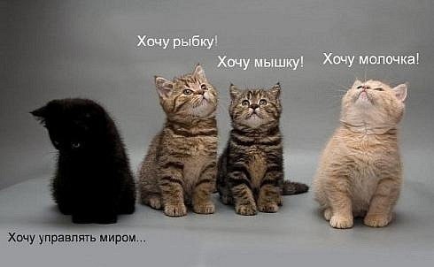 Виктория Давва | Мариуполь