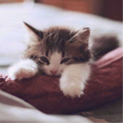 Галька Селезнёва | Москва