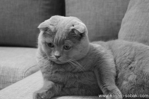 Кристина Скрябинская | Москва