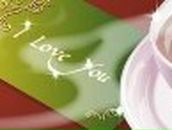 Анна Находнева | Ярославль